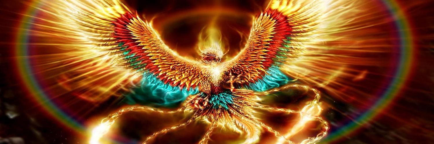 edisugur's profile banner image