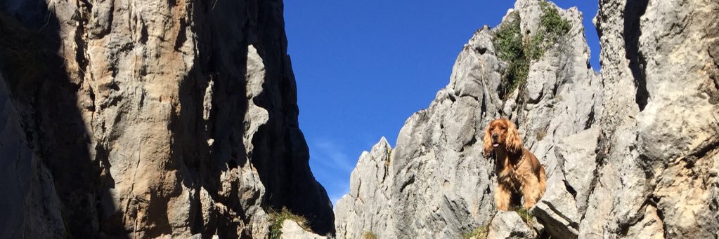 NATANDGO's profile banner image