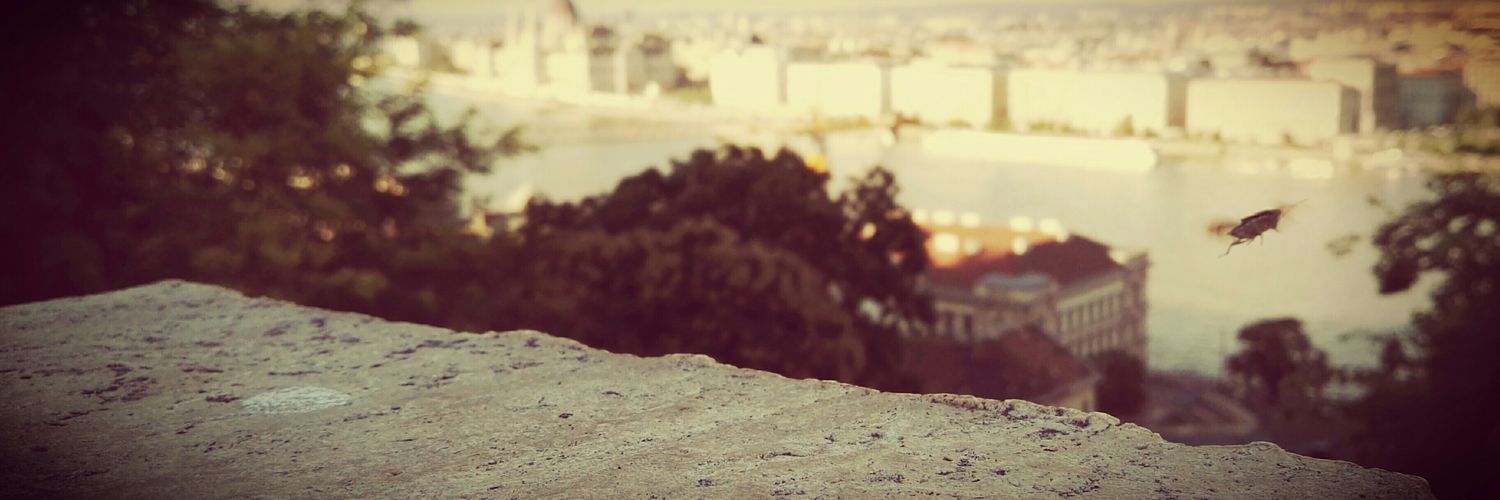 andromaca444's profile banner image