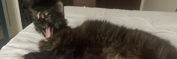 JihadiJazz Profile Banner