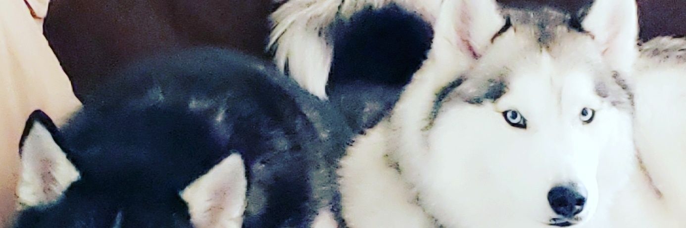 Jeffvanwie's profile banner image