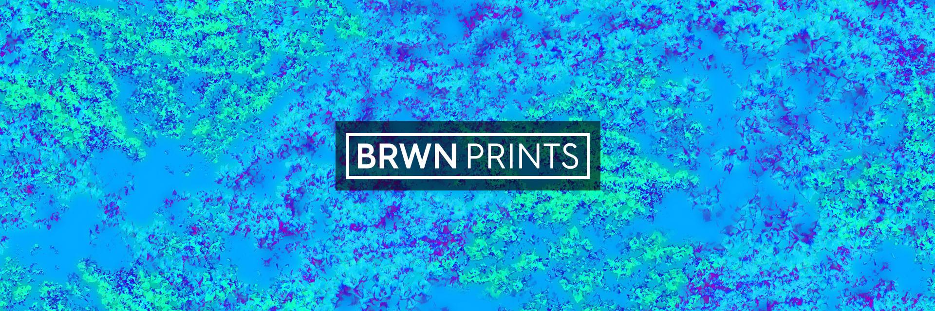 BRWNPrints's profile banner image