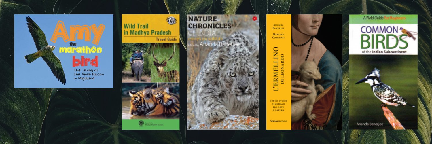 protectwildlife's profile banner image