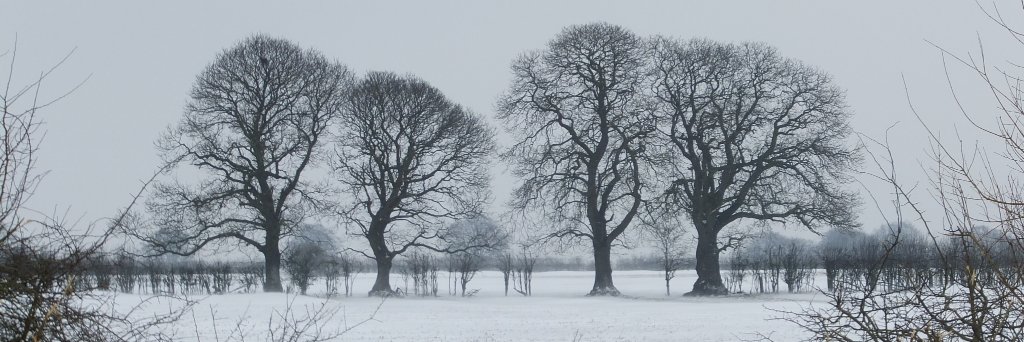 AlexTweetsCrap's profile banner image