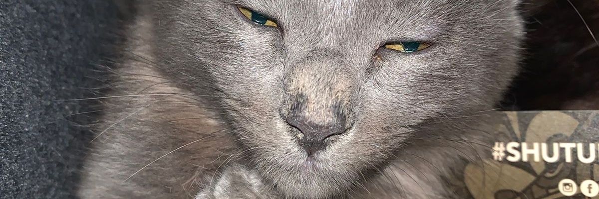NicGS2's profile banner image