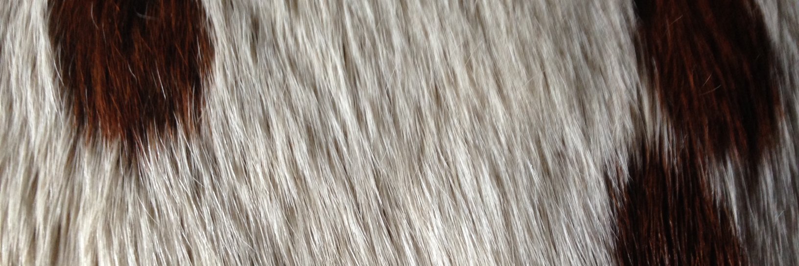 elinefeline's profile banner image
