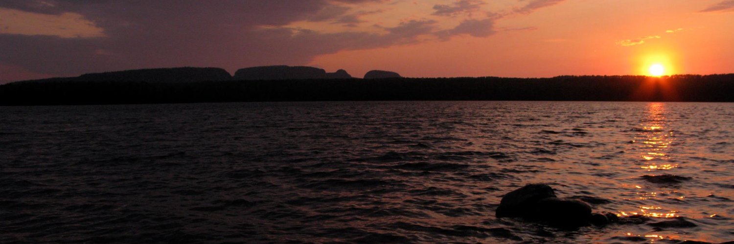 Tina Romito banner