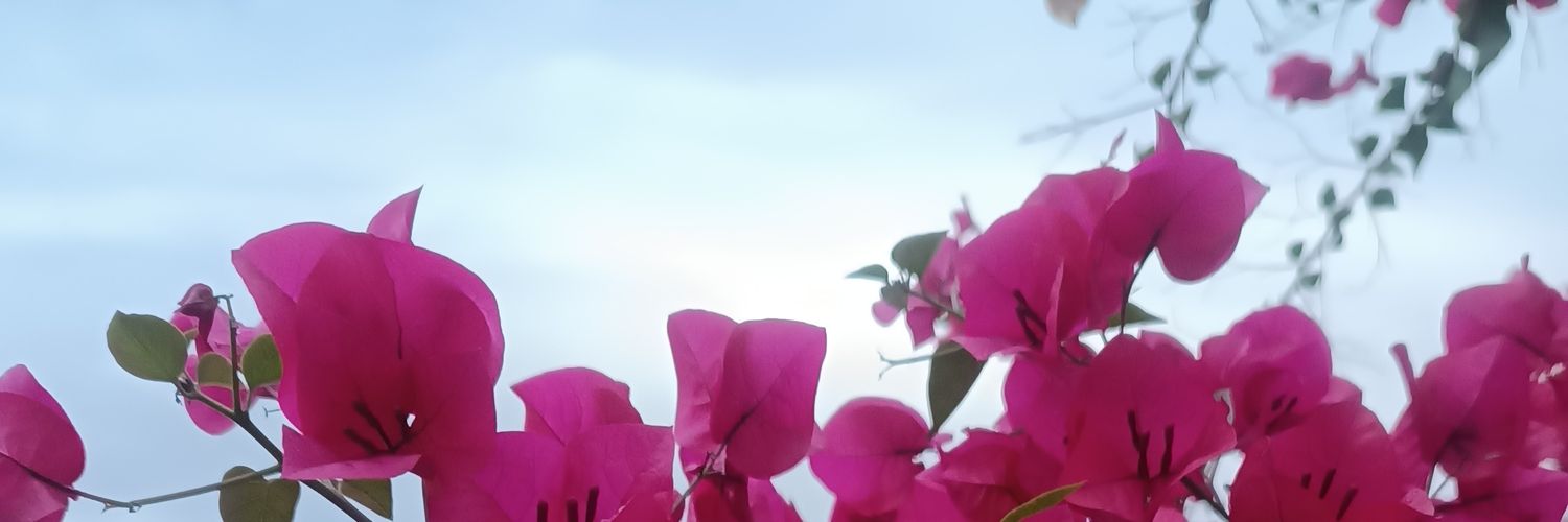 ___omid___'s profile banner image