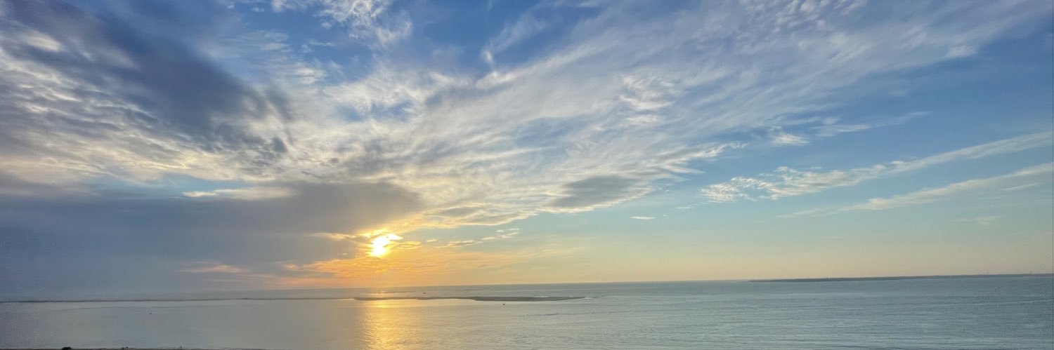 berinlenain's profile banner image