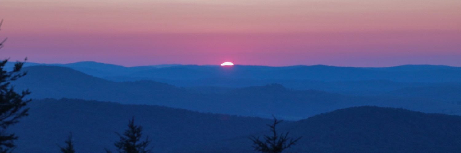 taylorbrenz's profile banner image