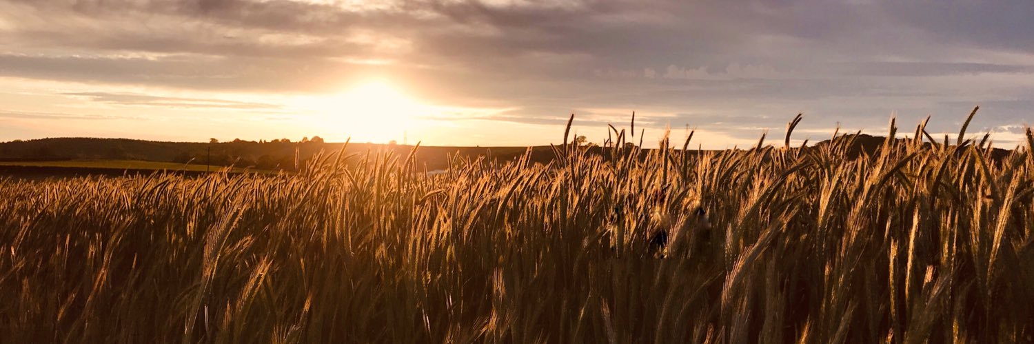 SarahDiston's profile banner image