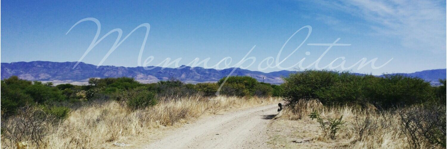 Mennopolitan's profile banner image
