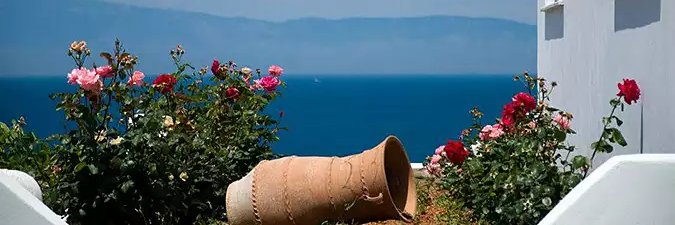 fotoula✿ 🇬🇷 🇨🇾 🇦🇲 🇷🇸 ✝️💜🕊ن🌿 banner
