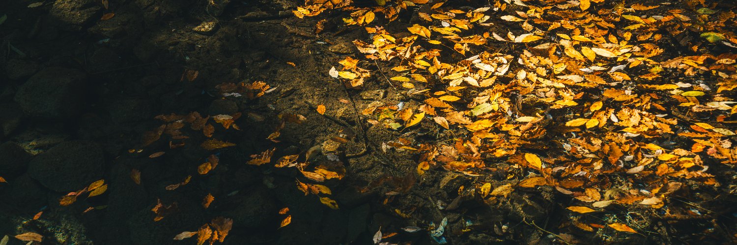 鈴 ヾ(・ω・*)ノ banner