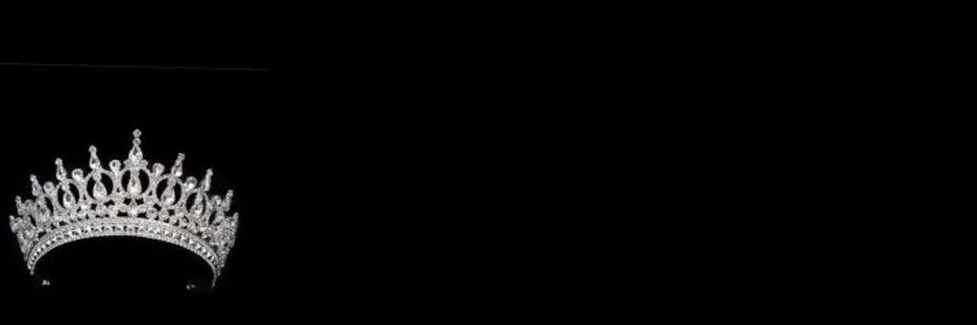bushurella's profile banner image