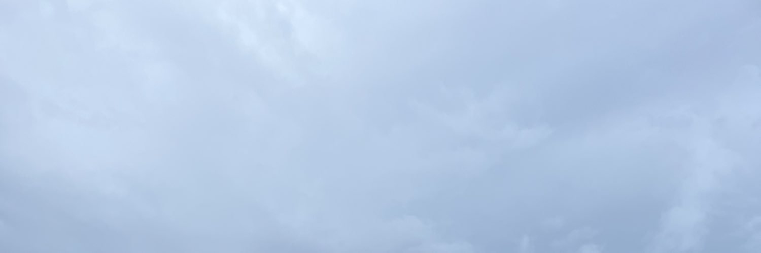 koo_cream's profile banner image