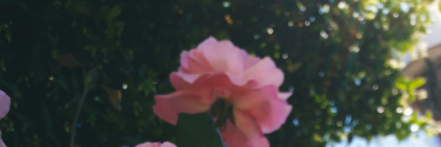 Emi banner