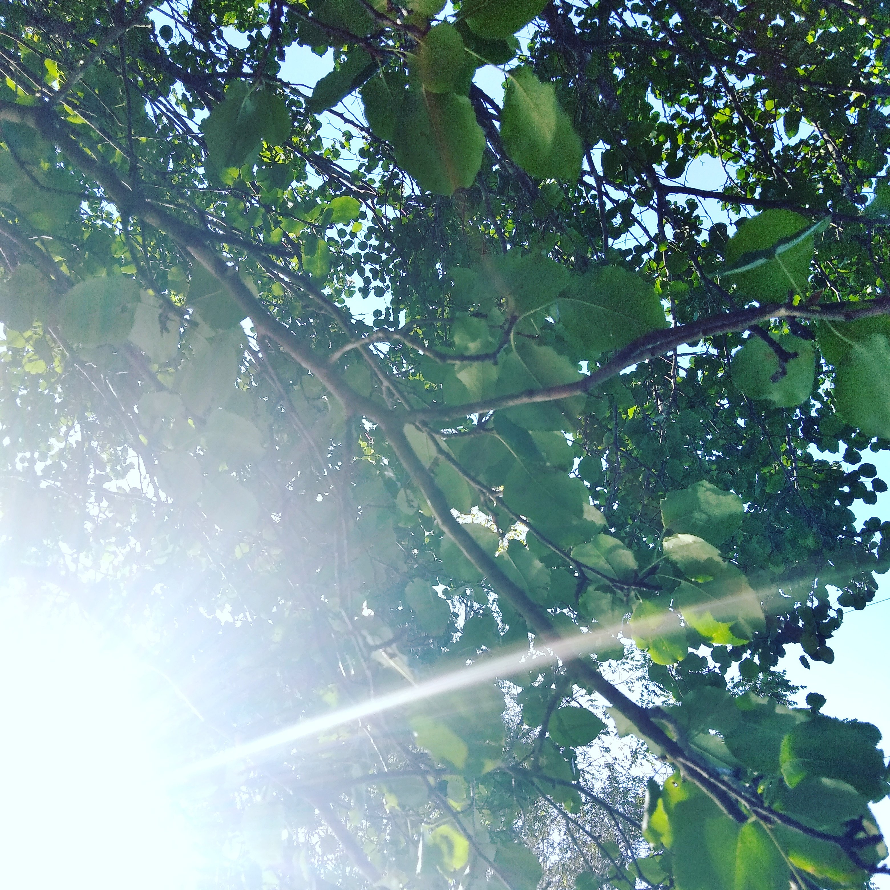 SolidOakDoor's profile banner image
