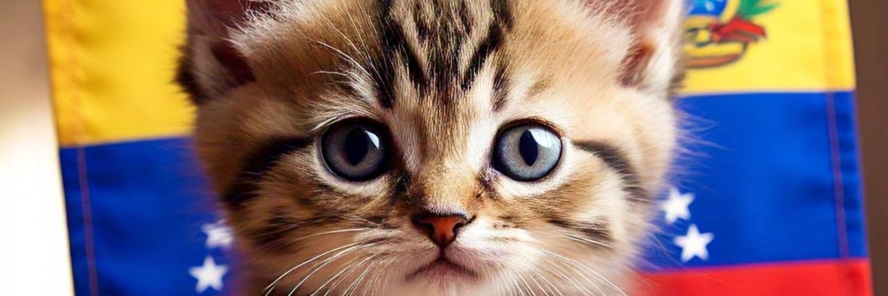 Catnonimus 🇻🇪 banner