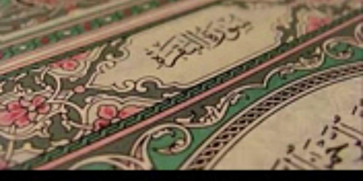 vv4_g's profile banner image