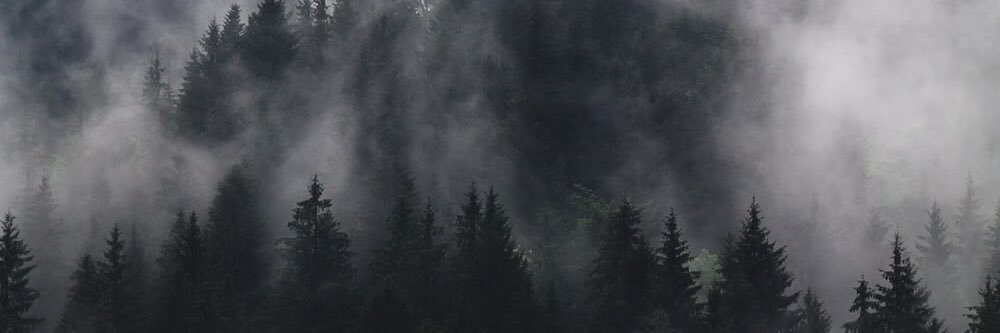 XenaRom's profile banner image