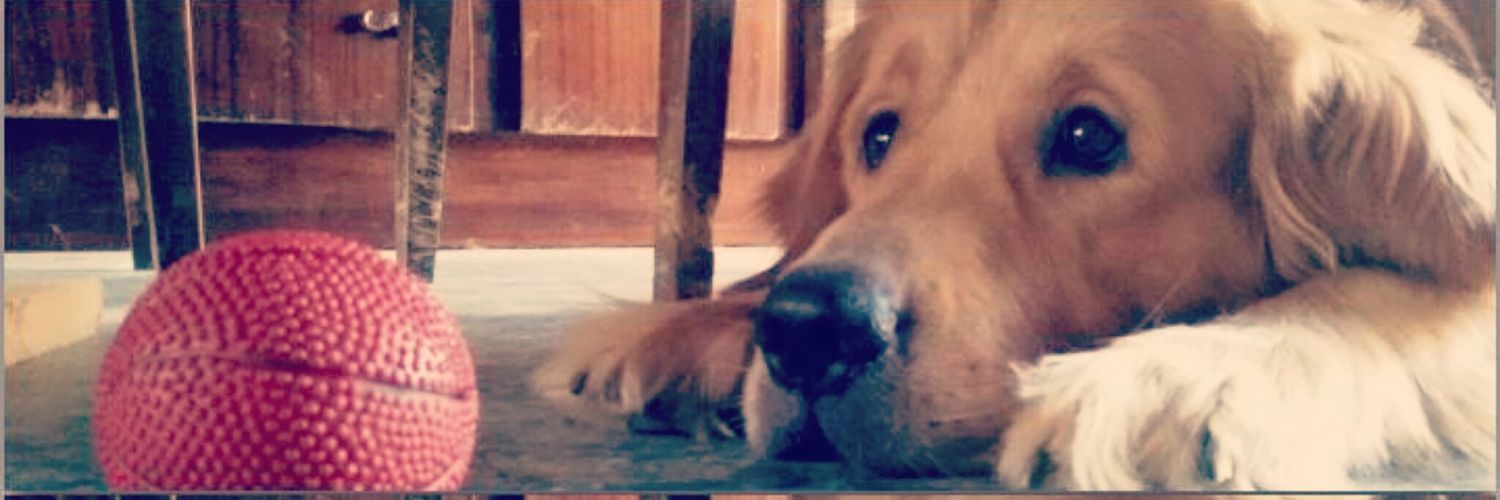 Juaan14's profile banner image