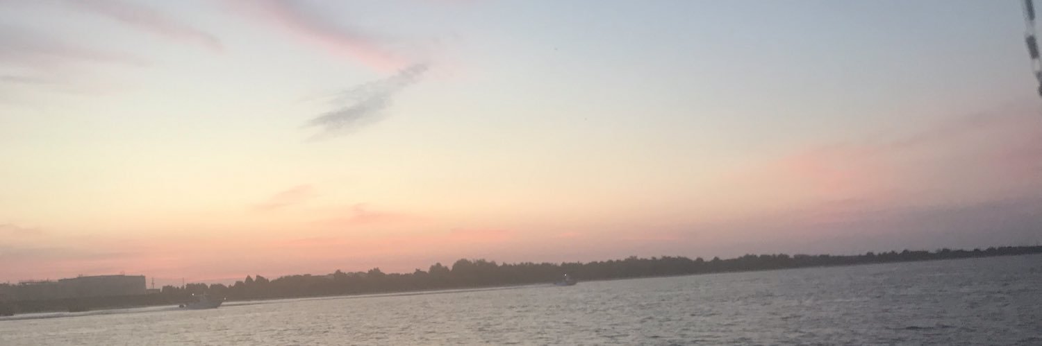 brooklynella1's profile banner image