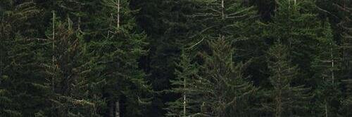 DreamLandRol's profile banner image