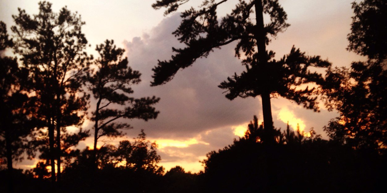 _Leaphy's profile banner image