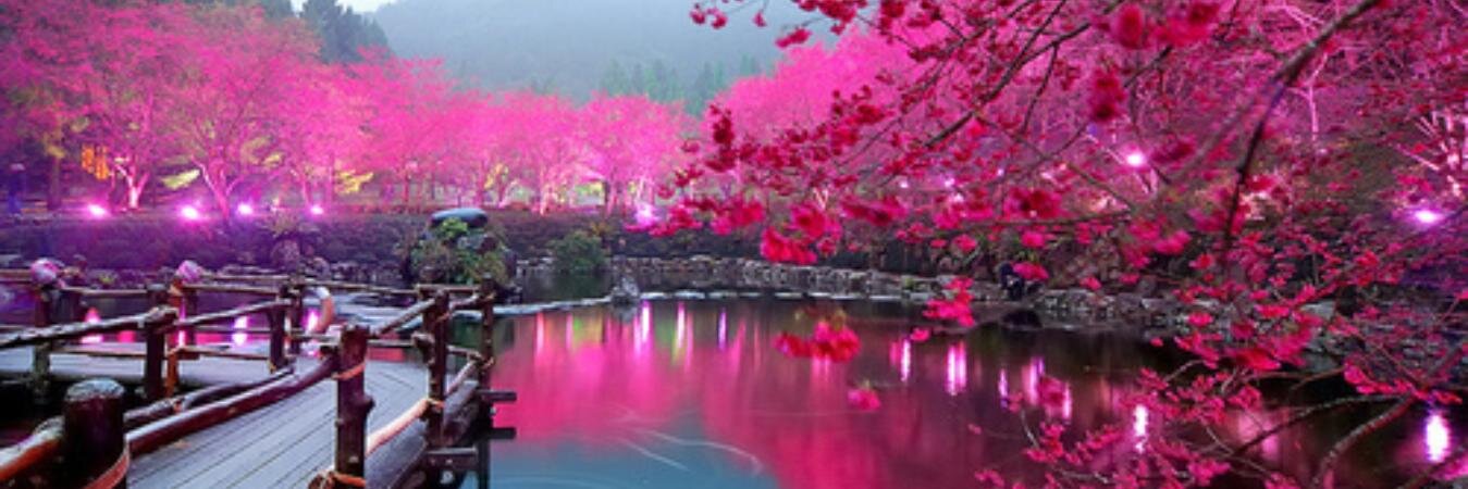 Nelly_Dara's profile banner image