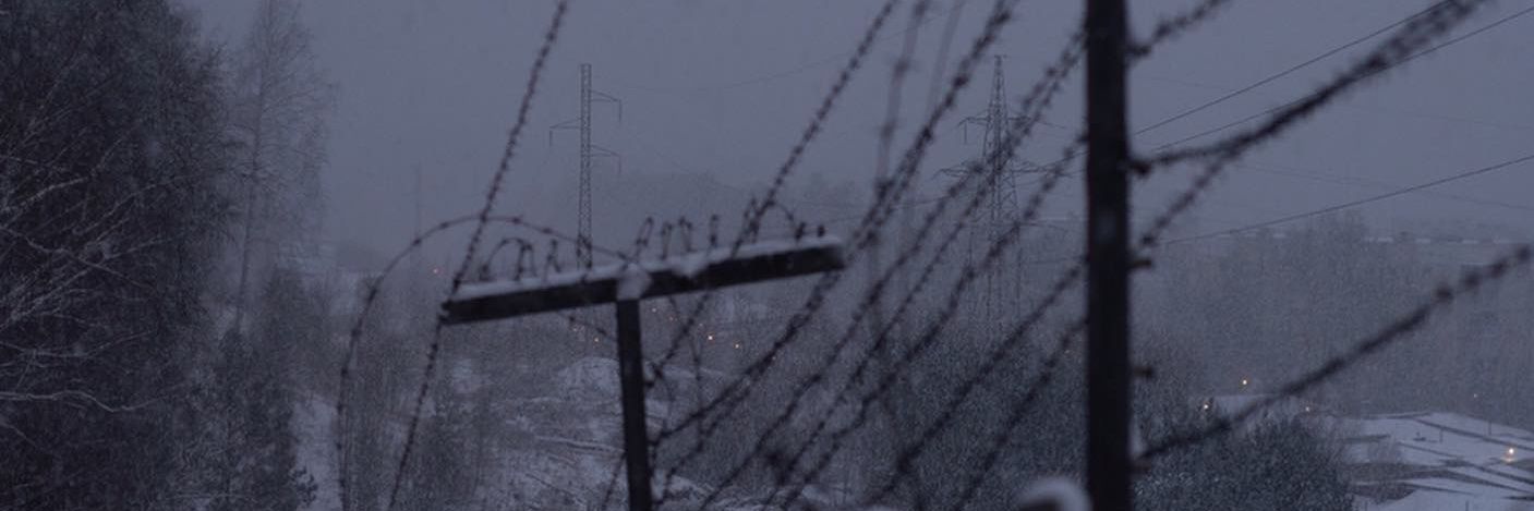 bluntpigeon's profile banner image
