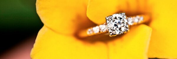 CarleykPhoto Profile Banner