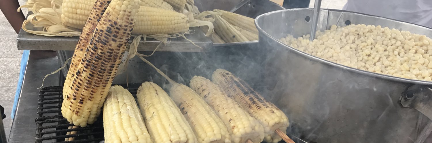 Pedro Mariscal banner