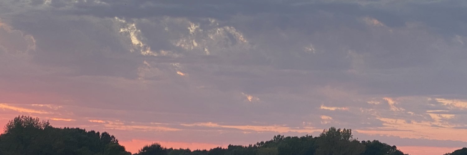 aduck12's profile banner image