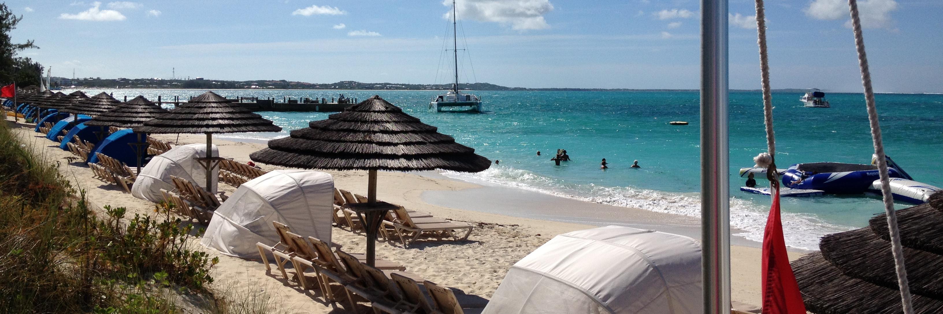 Karen Hartzell banner