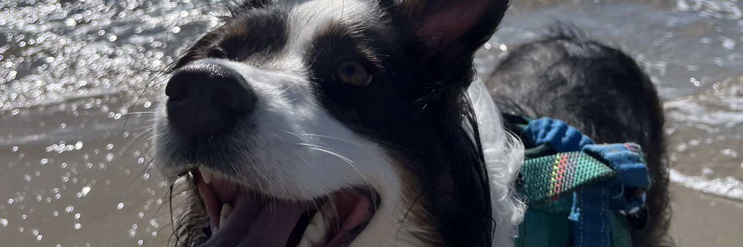 TR_Bubs's profile banner image