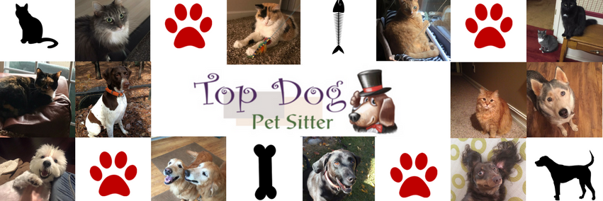 Topdogpetsit's profile banner image