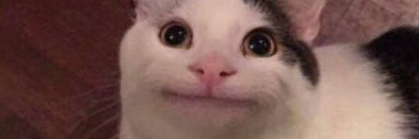 c_melp's profile banner image