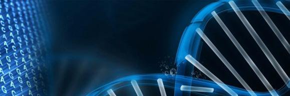 Rajesh00977's profile banner image