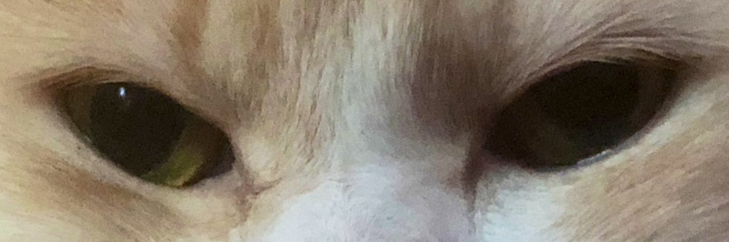 DukeSilver3's profile banner image