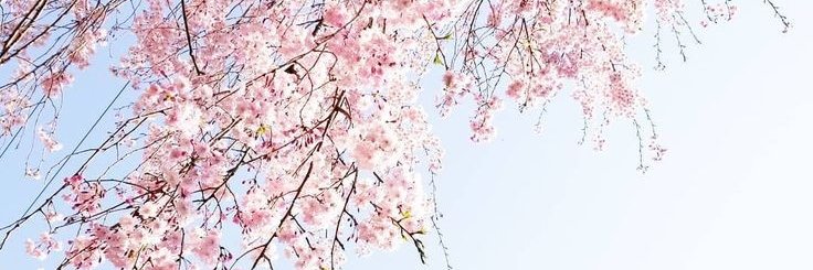 itsparkjy's profile banner image