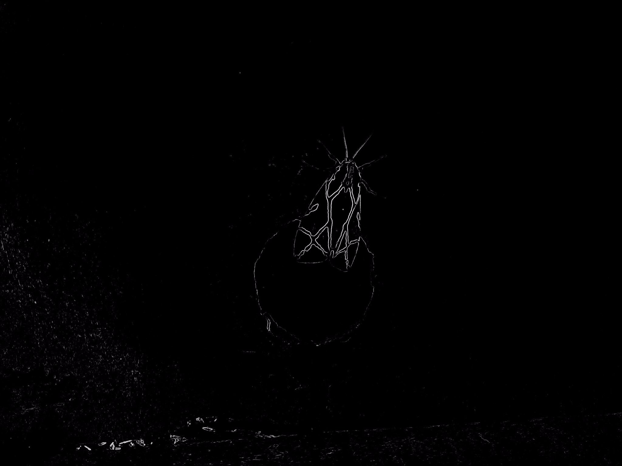 00_Odd's profile banner image