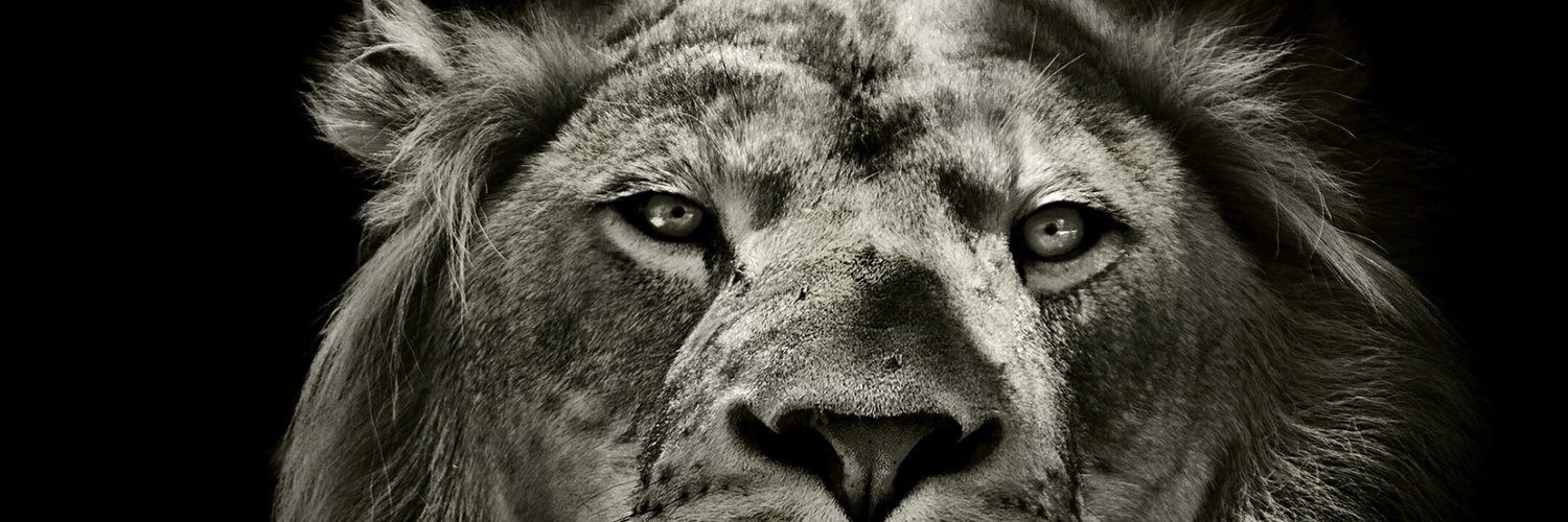 erlanggaMD's profile banner image