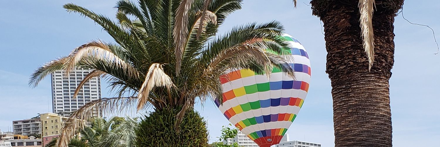 cocos1014's profile banner image
