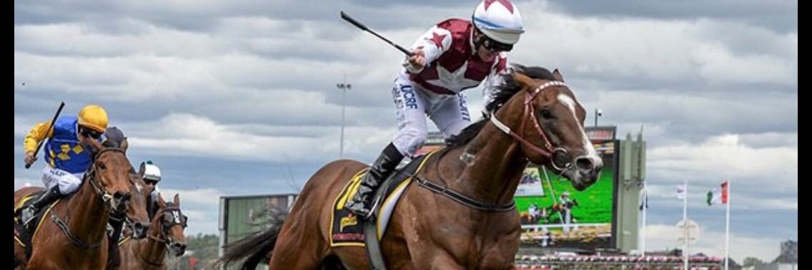 Dezi Renwick banner