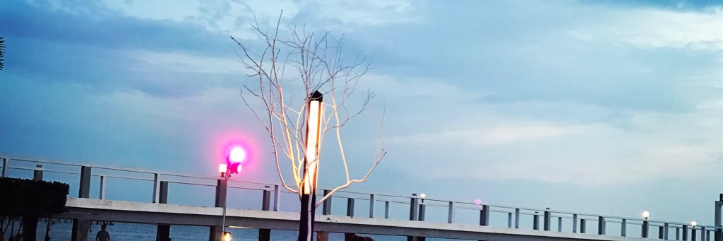 Aorpra's profile banner image