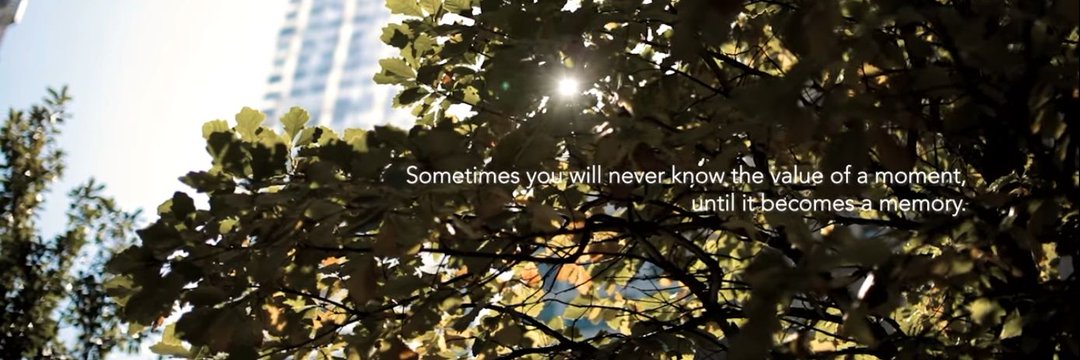 lamarreofficial's profile banner image