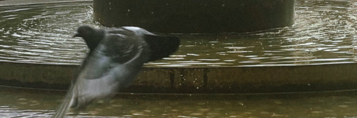 eymismye's profile banner image