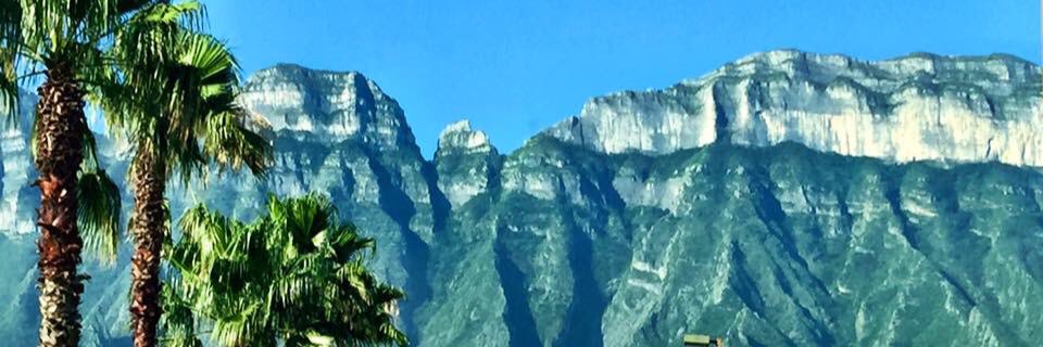 olyabrego's profile banner image