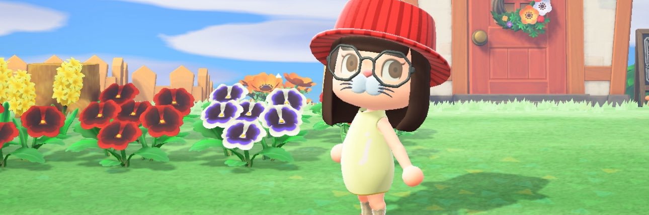 蒼空 まめ汰 banner